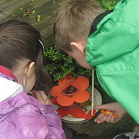 Kräuterprojekt im Tierpark Zittau
