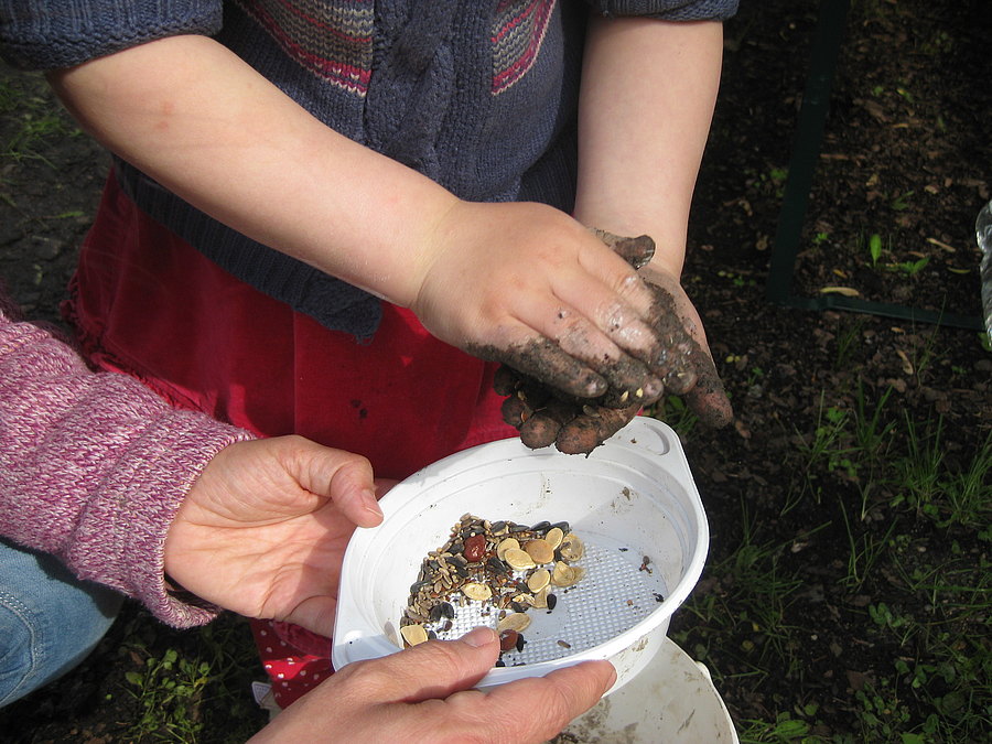 Samenbomben formen im Tierpark