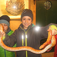 Zoopädagogik Reptilienprojekt