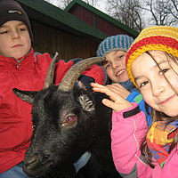 Tiere ganz nah erleben im Tierpark Zittau