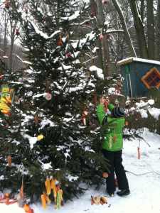 Weihnachtsbaum